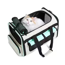 Travel & Outing Collection