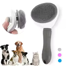 Hygiene & Grooming