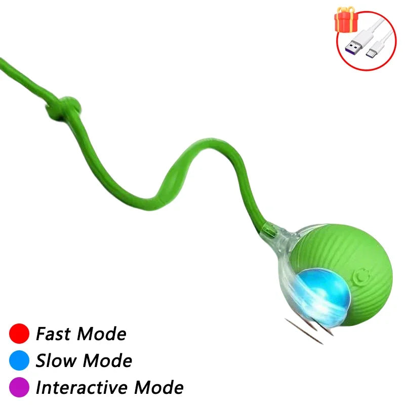 Interactive Toy for Cats Toy Automatic Rolling Ball Cat Accessories Rolling Ball Magic Ball Toys for Cat Training Imitate Mouse