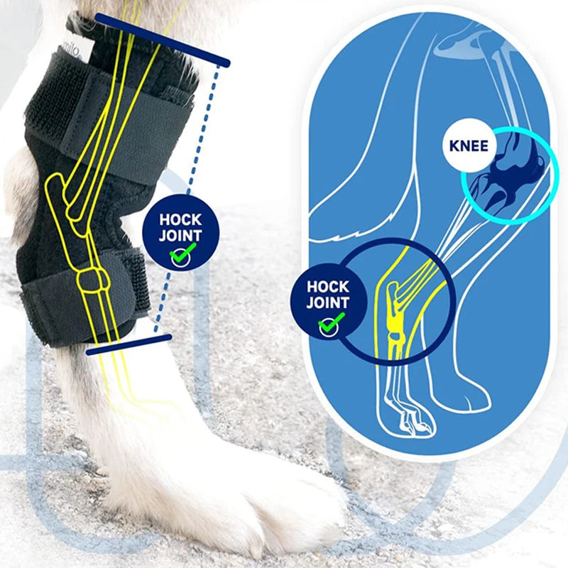 Dog Protector Support Protects Bandage Dog Arthritis Protector Cover Dogs Hock Joint Brace Pet Knee Pads Dogs Injury Recovery