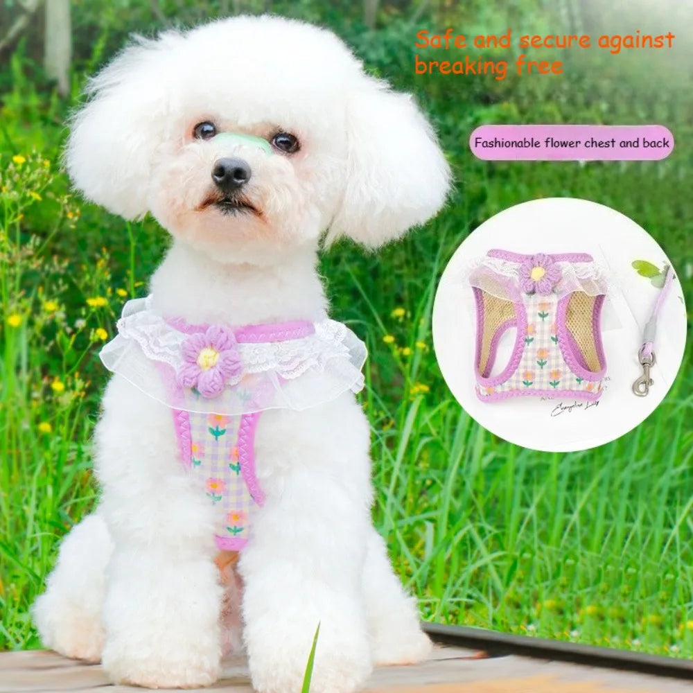 Anti Slip Dog Leash Vest Style Teddy Bear Pomeranian Chest Harness Puppy Leash Dog Chain Walking Dog Leash