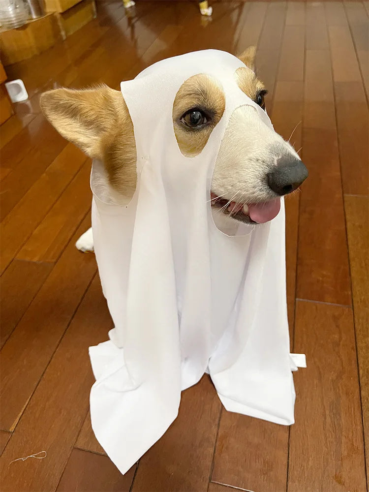 Dog Cosplay Costume, Halloween Horror Ghost Decoration, Pet Supplies, Cape, Cloak, Headgear, Transformation Outfit