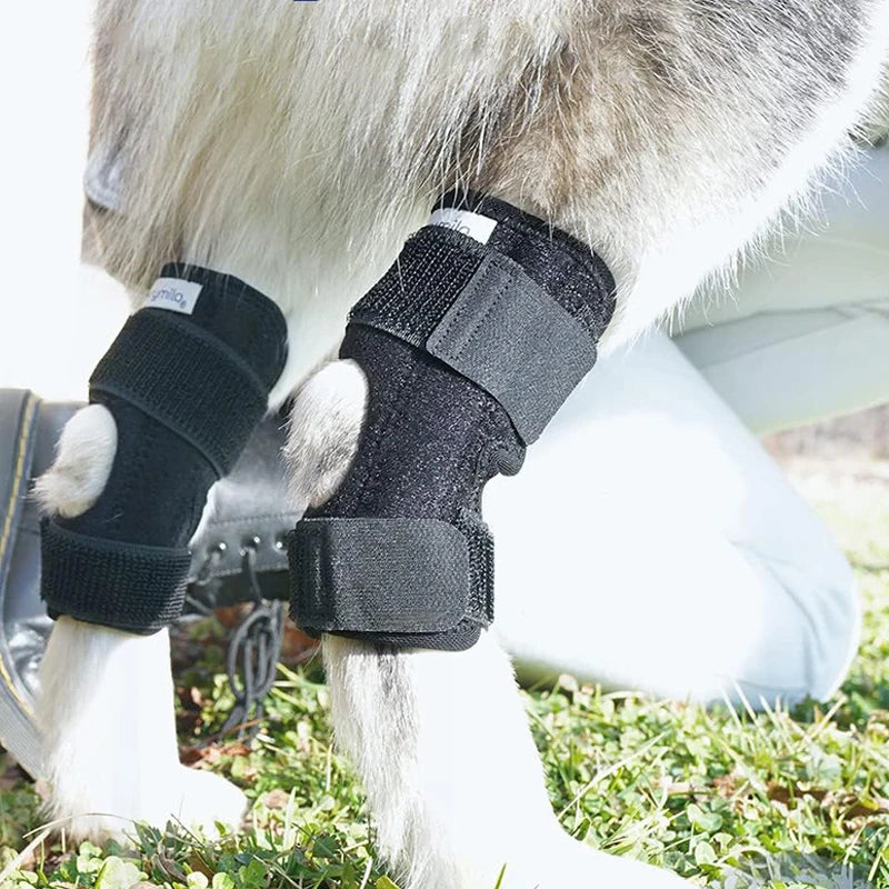 Dog Protector Support Protects Bandage Dog Arthritis Protector Cover Dogs Hock Joint Brace Pet Knee Pads Dogs Injury Recovery