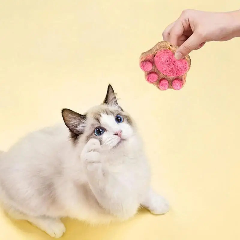 Paw Shape Cat Snack Oral Cleaning Cat Snacks Kitten Treats Paw Shape Cat Food Footprint Shaped Cat Treats Pets Supplies