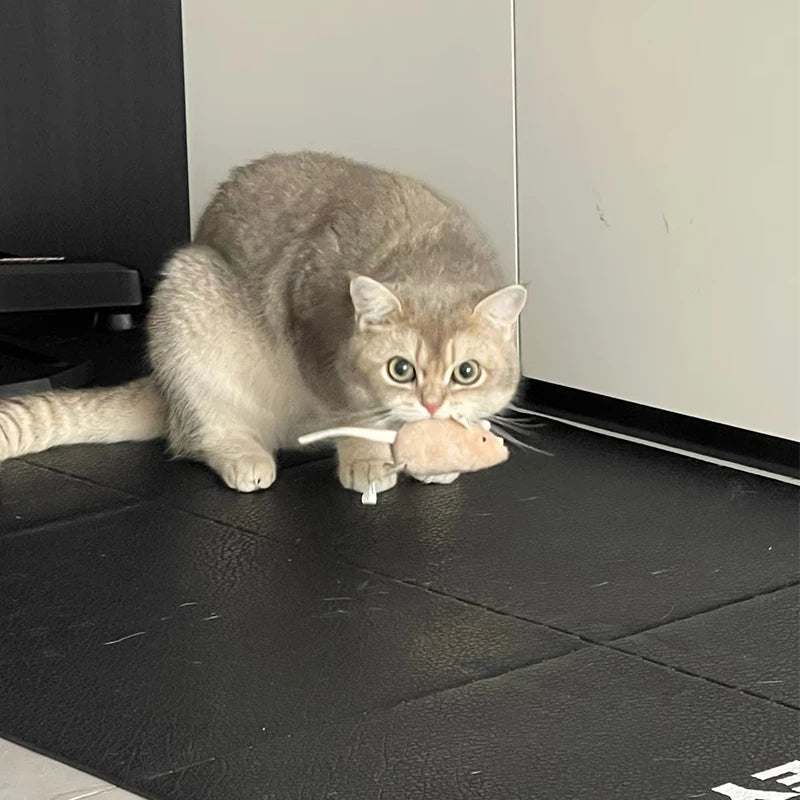 Simulation Mouse Cat Toy Bite Resistance Plush Mouse Cat Scratch Interactive Mouse Rattle Cat Mouse Toys Also Prefilled Catnip