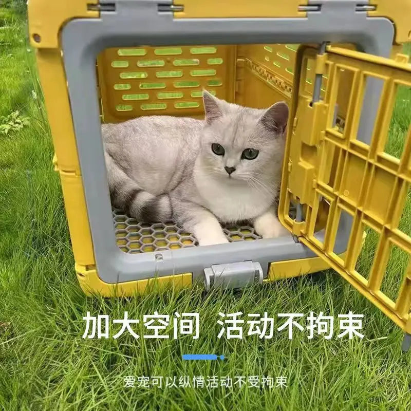 Pet Supplies Car Portable Cat Cage Portable Foldable Flight Case Breathable Kennel For Outing Pet Check-in Box