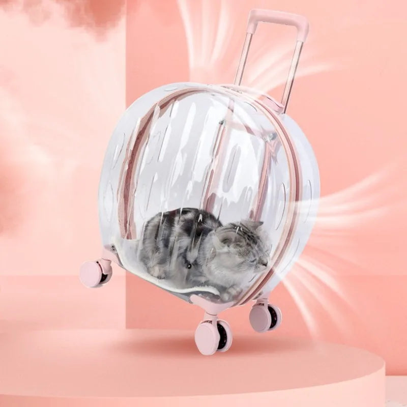 Transparent Pet Suitcase Large Capacity Dog Travel Suitcase Outdoor Portable Bubble Box Pet Aviation Box Small Cat Bag