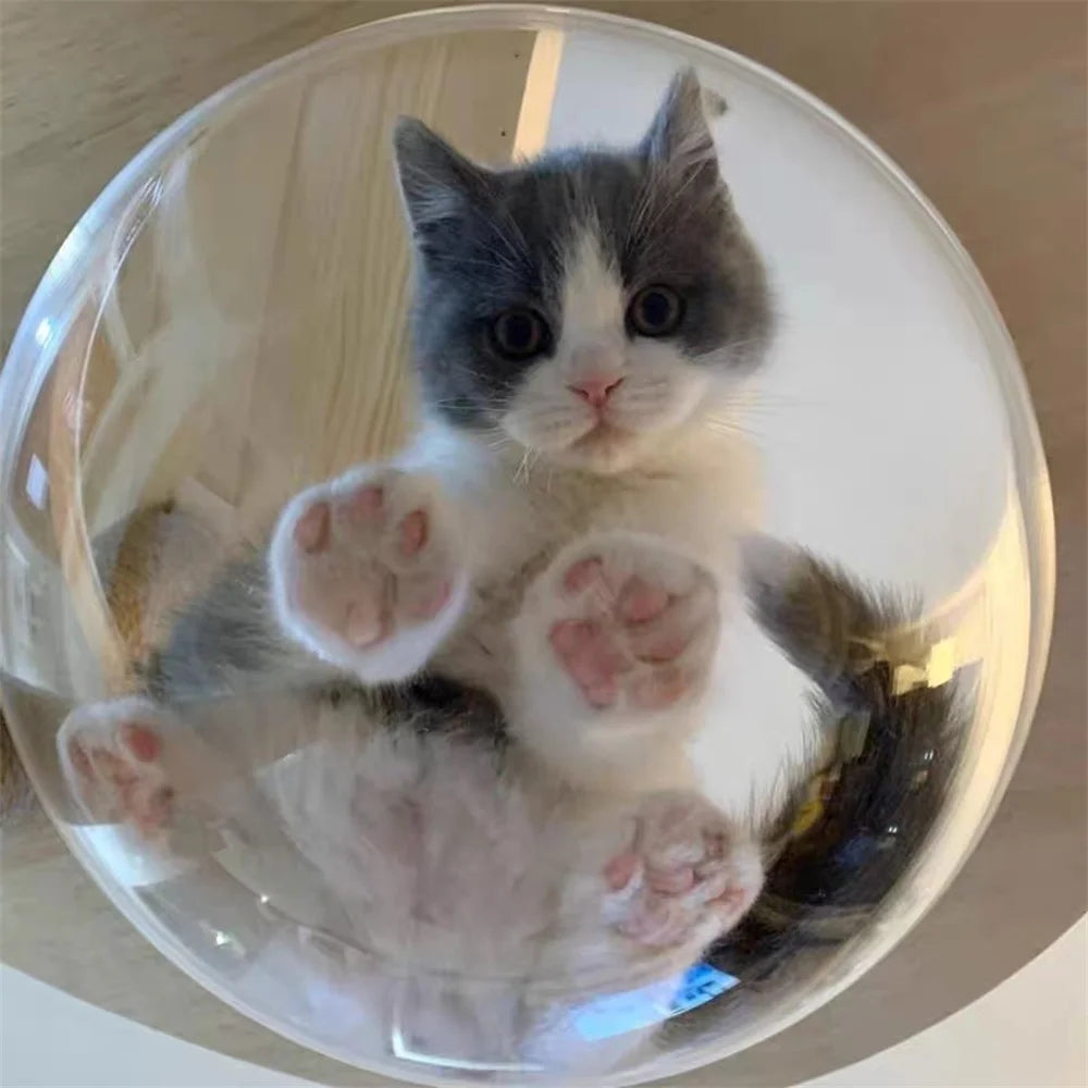 Half Sphere  Transparent Acrylic Hemisphere Cover Clear Organic Glass Cat Nest Hollow Plastic Ball