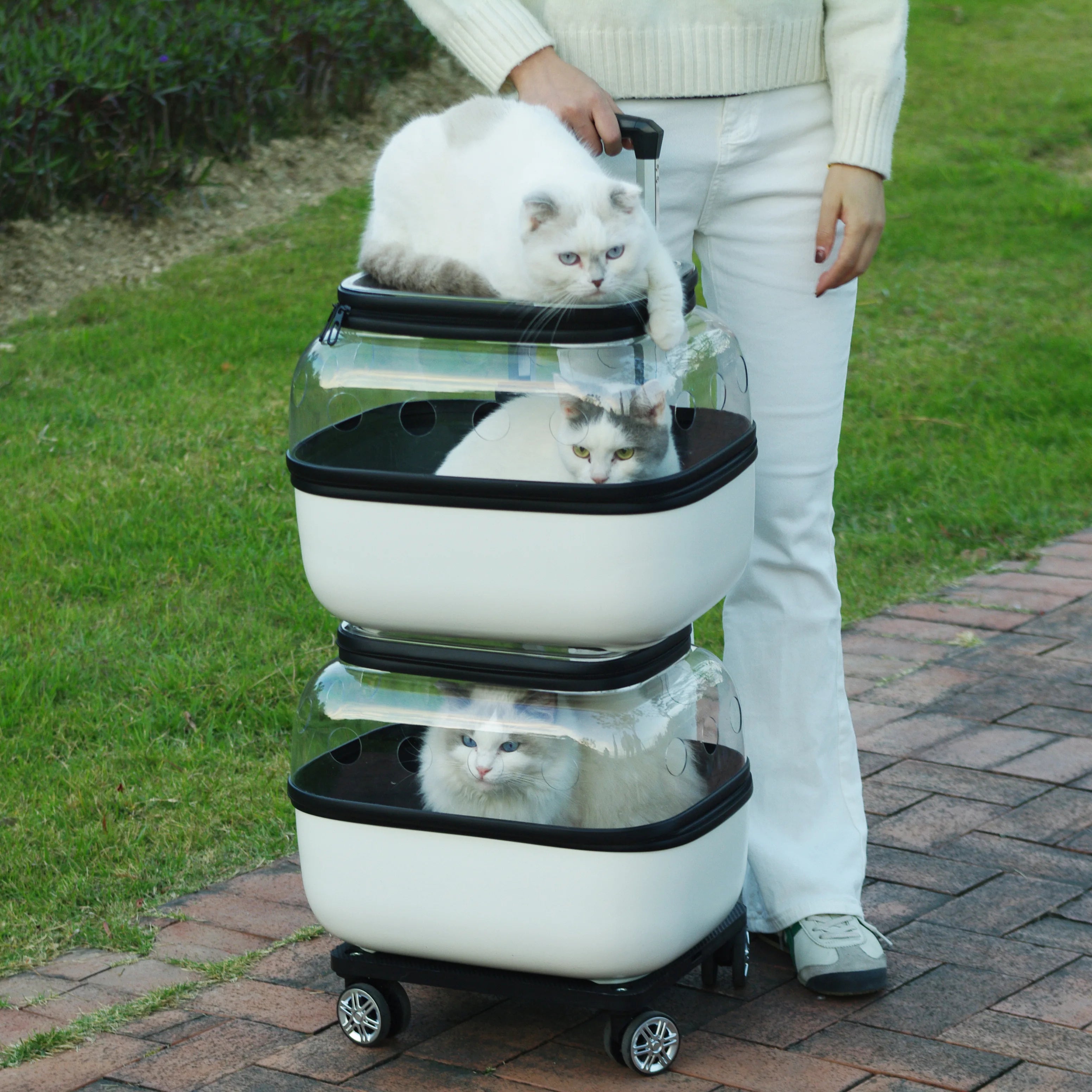 Portable Double Decker Cat Carrier Large Capacity Pet Trolley Case for Many Cats Breathable Travel Case for Outdoor Cat's Basket