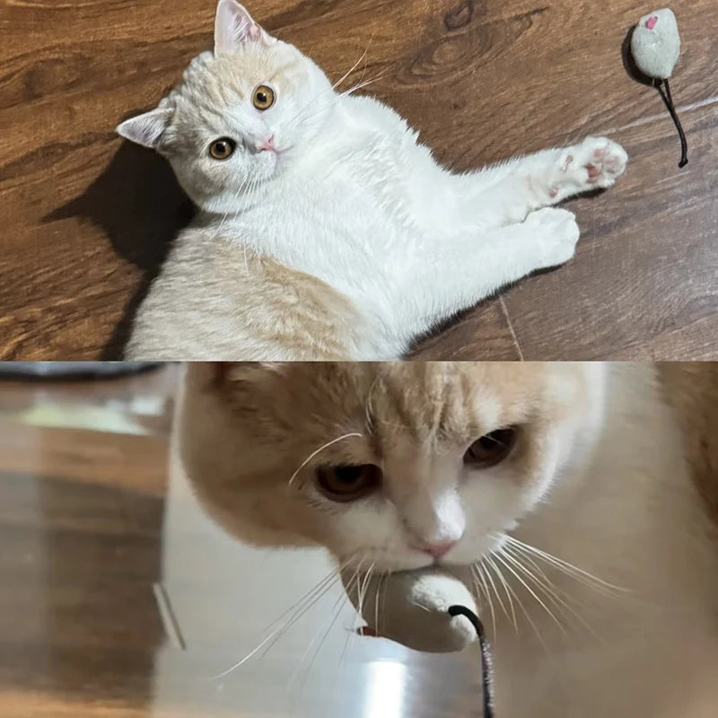 Simulation Mouse Cat Toy Bite Resistance Plush Mouse Cat Scratch Interactive Mouse Rattle Cat Mouse Toys Also Prefilled Catnip