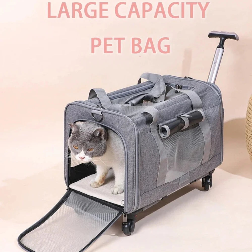 Collapsible Pet Rolling Luggage Portable Dog & Cat Travel Carrier with Wheels for Outdoor Trips，2in1 Pet Travel Carrier Stroller