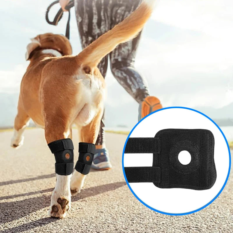 Dog Protector Support Protects Bandage Dog Arthritis Protector Cover Dogs Hock Joint Brace Pet Knee Pads Dogs Injury Recovery