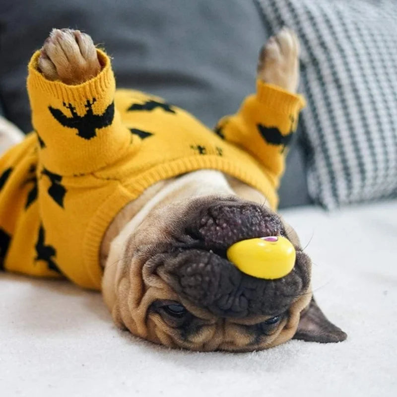 Guaranteed to bring joy and have their tails wagging happily, these high-quality, lively, and engaging squeaky balls for pets ar