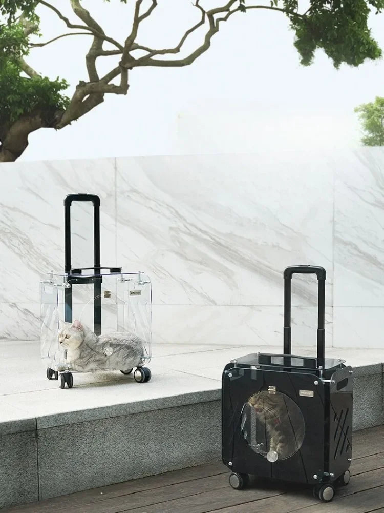 Pet Trolley Box Out Portable Transparent Hand Luggage Travel Trolley Airline Case Large Capacity Carriers for Dog Accessories