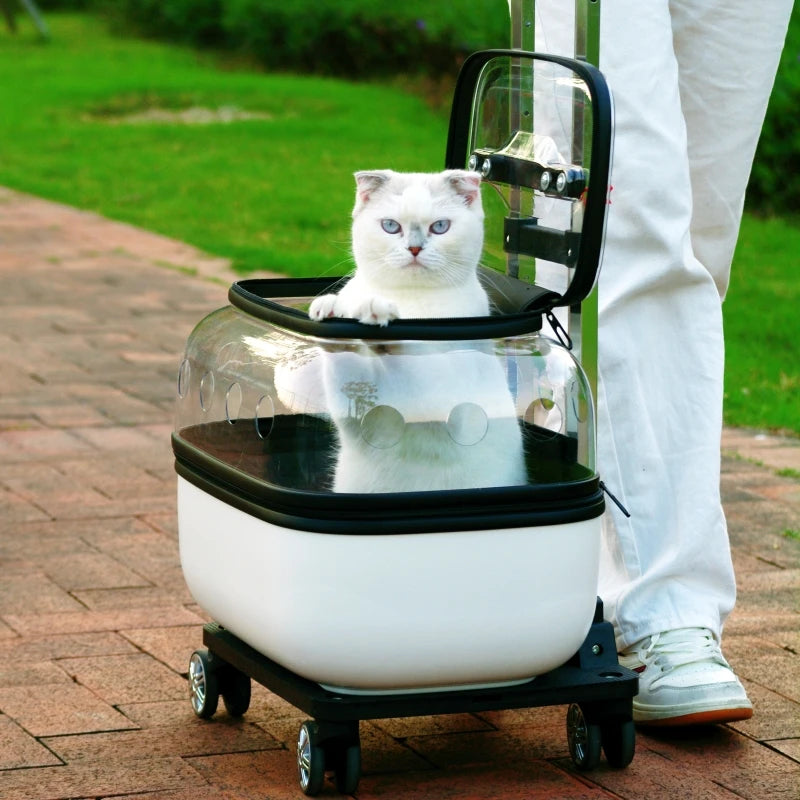 Portable Double Decker Cat Carrier Large Capacity Pet Trolley Case for Many Cats Breathable Travel Case for Outdoor Cat's Basket