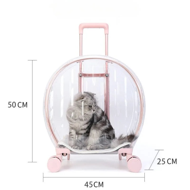 Transparent Pet Suitcase Large Capacity Dog Travel Suitcase Outdoor Portable Bubble Box Pet Aviation Box Small Cat Bag