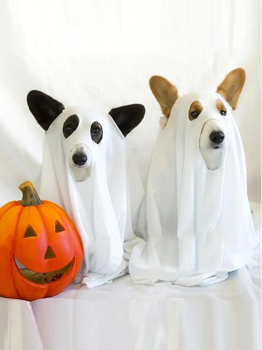 Dog Cosplay Costume, Halloween Horror Ghost Decoration, Pet Supplies, Cape, Cloak, Headgear, Transformation Outfit