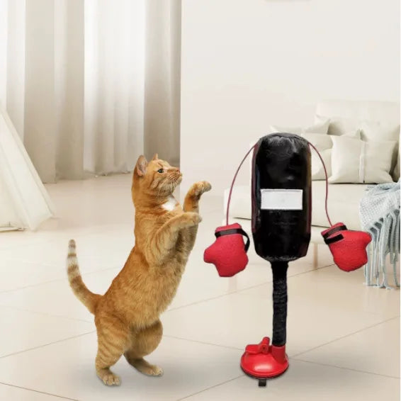 New Interesting Cat Boxing Toys New Pet Interactive Kitten Toys Punching Bag Cats Relieve Boredom Punching Bag Play Gym Toys