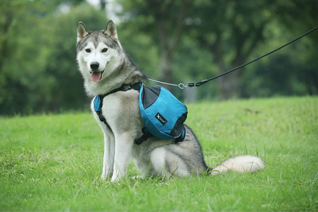 Pet Outdoor Backpack Large Dog Reflective Adjustable Saddle Bag Harness Carrier for Traveling Hiking Camping Safety