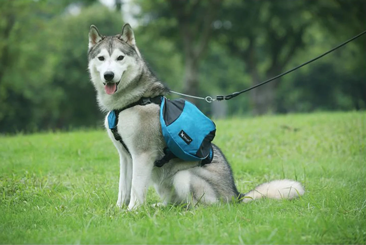 Pet Outdoor Backpack Large Dog Reflective Adjustable Saddle Bag Harness Carrier for Traveling Hiking Camping Safety