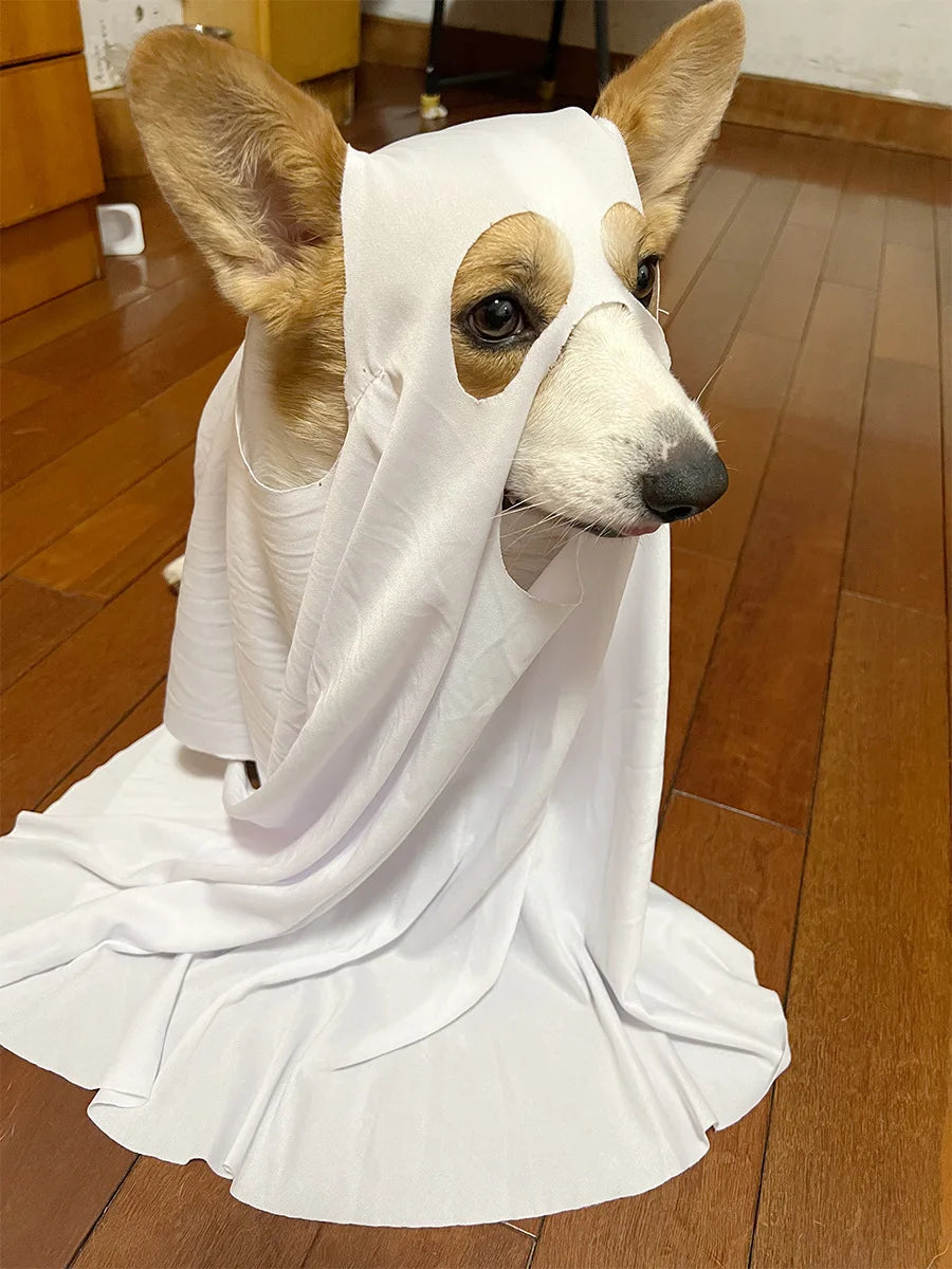 Dog Cosplay Costume, Halloween Horror Ghost Decoration, Pet Supplies, Cape, Cloak, Headgear, Transformation Outfit