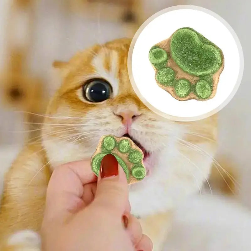 Paw Shape Cat Snack Oral Cleaning Cat Snacks Kitten Treats Paw Shape Cat Food Footprint Shaped Cat Treats Pets Supplies
