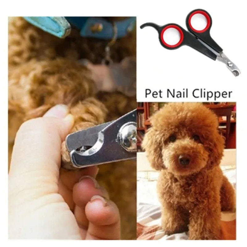 Pet Nail Clippers Cutter Parrot Nail Trimmer Beauty Scissors for Dogs Cats Sandrats and Small Animals Home Portable Pet Supplie