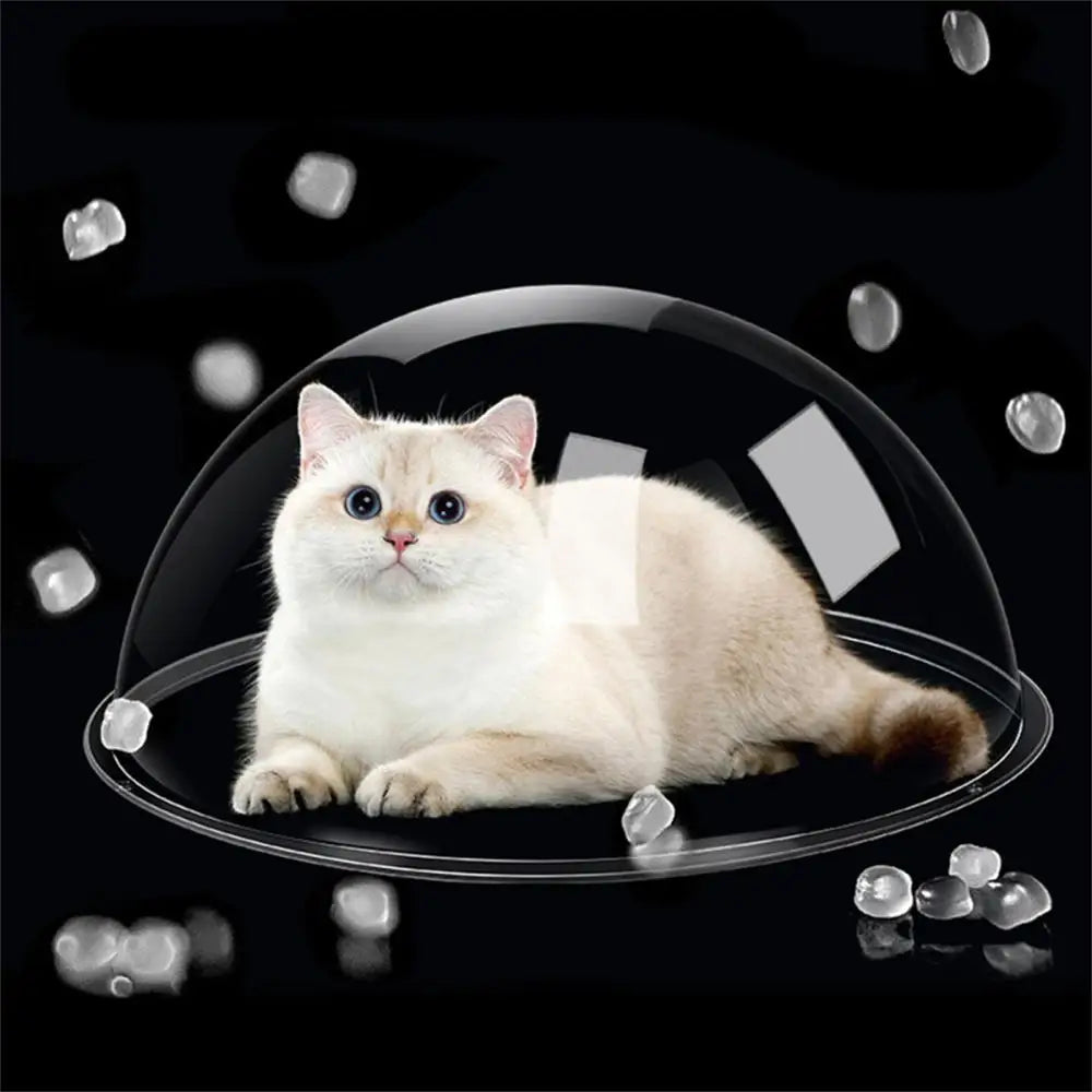 Half Sphere  Transparent Acrylic Hemisphere Cover Clear Organic Glass Cat Nest Hollow Plastic Ball