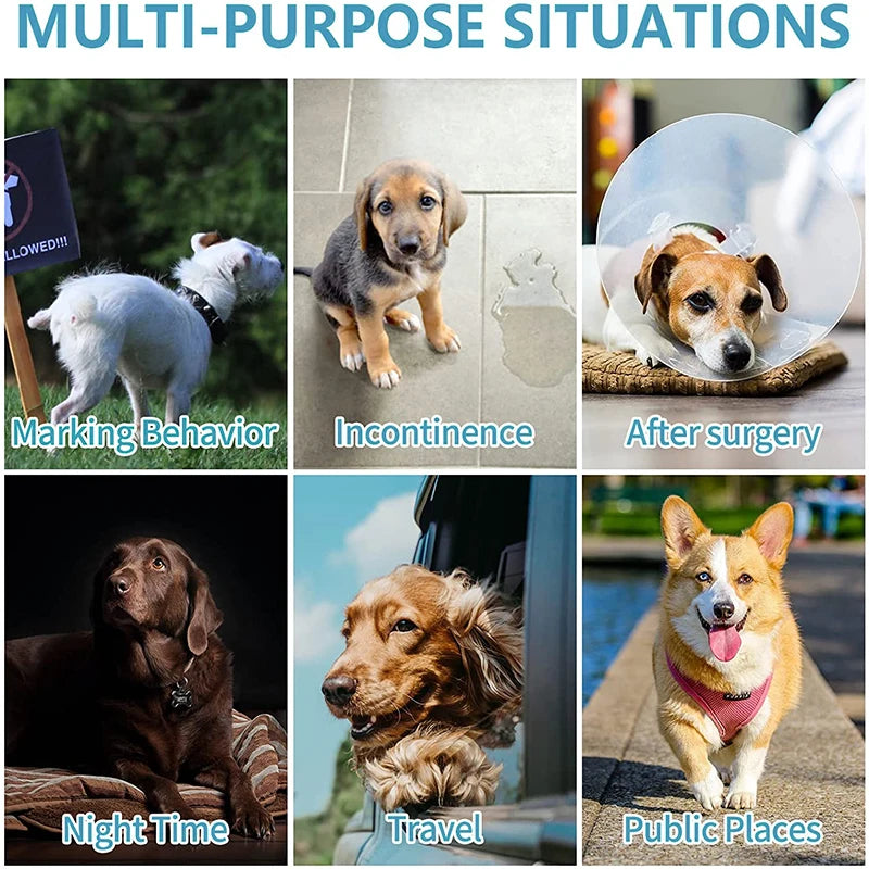 10PCS/pack Super Absorption Physiological Pants Dog Diapers for Dogs Pet  Disposable Leakproof Nappies Small Puppy Male Dog