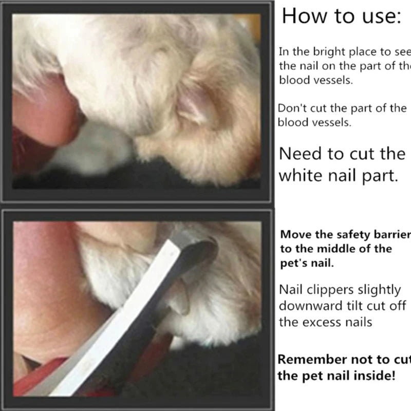 Pet Nail Clippers Cutter Parrot Nail Trimmer Beauty Scissors for Dogs Cats Sandrats and Small Animals Home Portable Pet Supplie