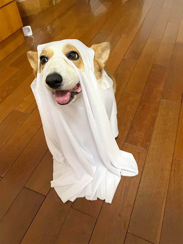 Dog Cosplay Costume, Halloween Horror Ghost Decoration, Pet Supplies, Cape, Cloak, Headgear, Transformation Outfit