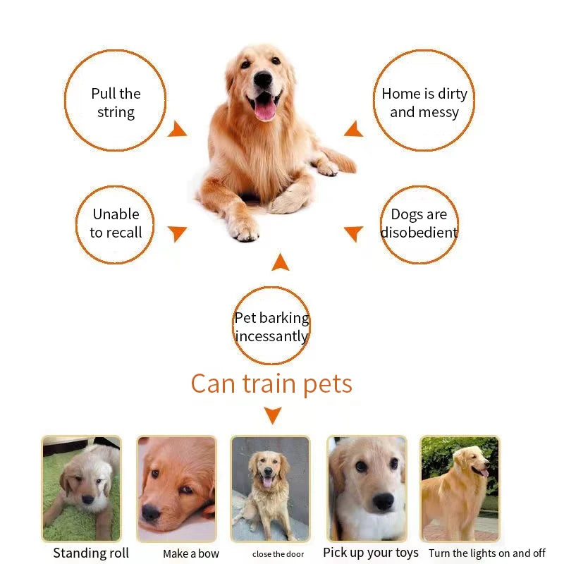 Dog Training Clicker Pet Cat Plastic New Dogs Click Trainer Aid Tools Adjustable Wrist Strap Sound Key Chain Dog Supplies