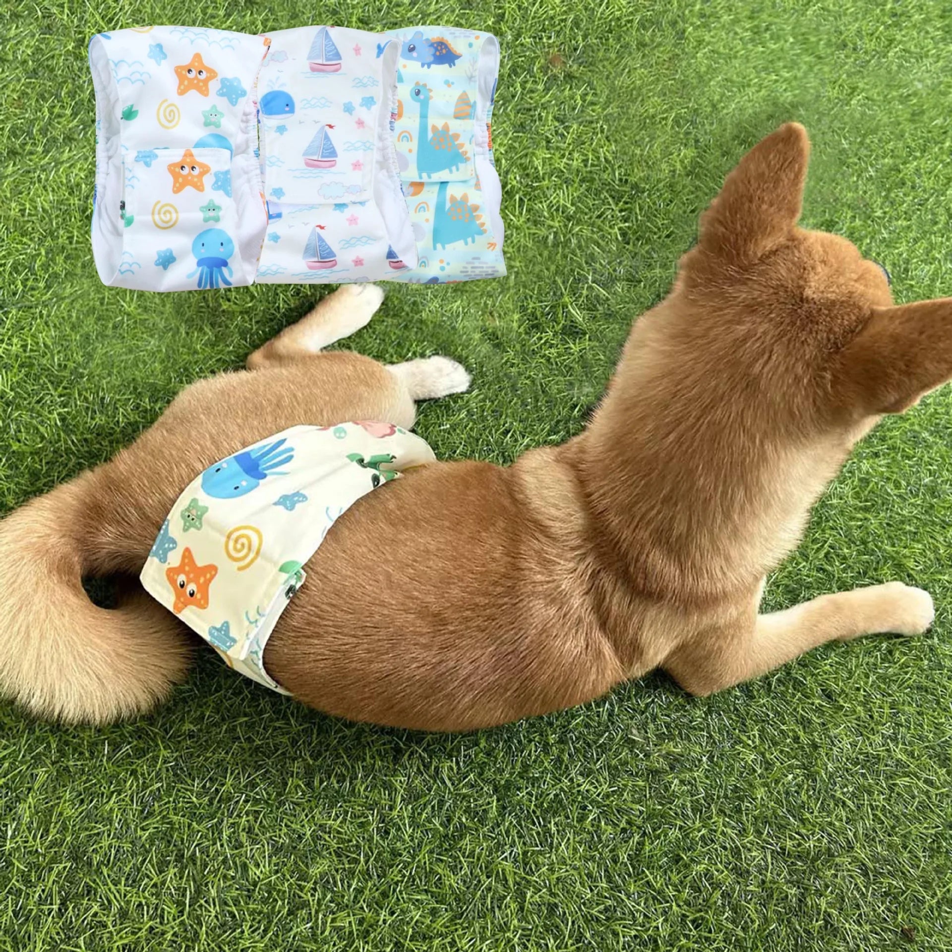 1/3pcs Washable Male Dog Physiological Pant  Adjustable Belly Wrap Band Reusable Sanitary Diaper for Small Large Dog RandomColor