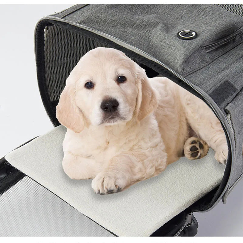 Collapsible Pet Rolling Luggage Portable Dog & Cat Travel Carrier with Wheels for Outdoor Trips，2in1 Pet Travel Carrier Stroller