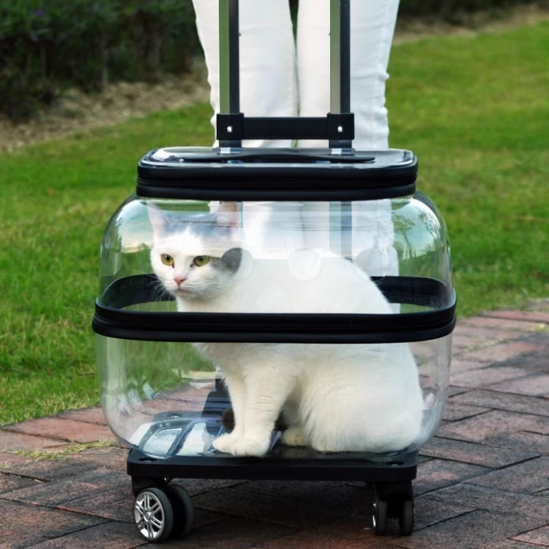 Portable Double Decker Cat Carrier Large Capacity Pet Trolley Case for Many Cats Breathable Travel Case for Outdoor Cat's Basket