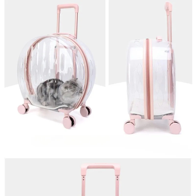 Transparent Pet Suitcase Large Capacity Dog Travel Suitcase Outdoor Portable Bubble Box Pet Aviation Box Small Cat Bag