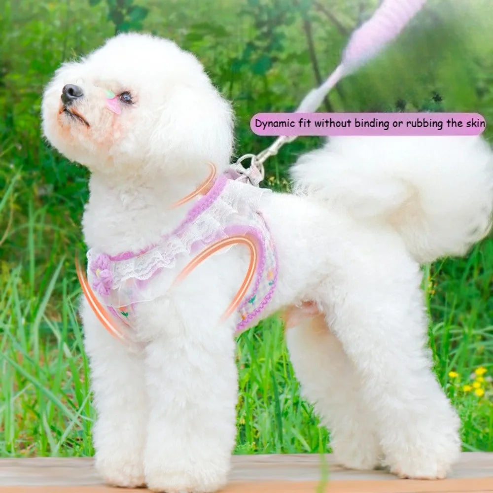 Anti Slip Dog Leash Vest Style Teddy Bear Pomeranian Chest Harness Puppy Leash Dog Chain Walking Dog Leash