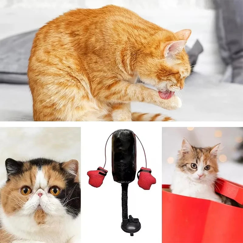 New Interesting Cat Boxing Toys New Pet Interactive Kitten Toys Punching Bag Cats Relieve Boredom Punching Bag Play Gym Toys