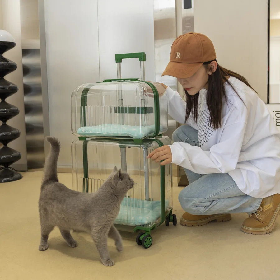 Transparent Pet Trolley Case Cat Bag Convenient To Go Out Double-layer Two or Three Cats Dogs Suitcase Breathable Large Capacity