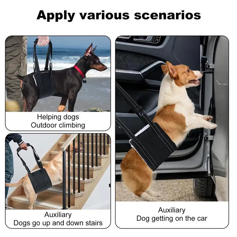Dog Lift Harness Adjustable Dog Sling for Back Legs Support Rehab Harness for Weak Rear Legs Pet Aid Assist Tool for Elderly Dog