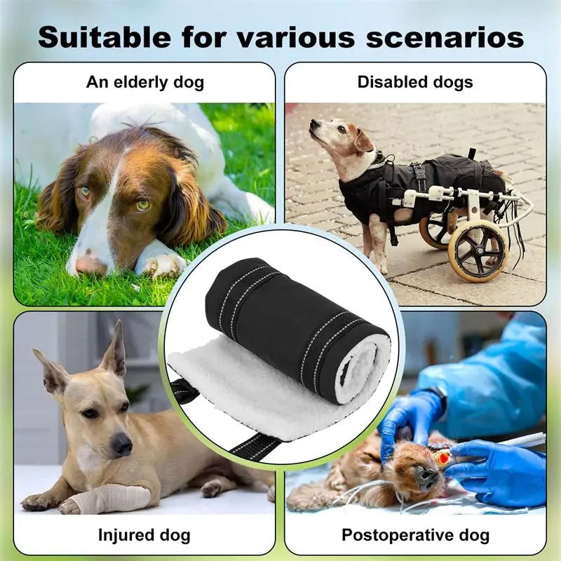 Dog Lift Harness Adjustable Dog Sling for Back Legs Support Rehab Harness for Weak Rear Legs Pet Aid Assist Tool for Elderly Dog