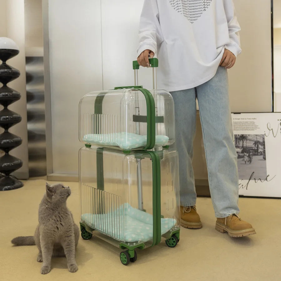 Transparent Pet Trolley Case Cat Bag Convenient To Go Out Double-layer Two or Three Cats Dogs Suitcase Breathable Large Capacity