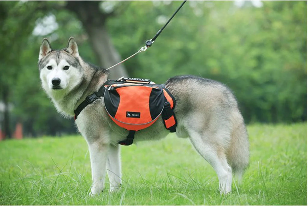 Pet Outdoor Backpack Large Dog Reflective Adjustable Saddle Bag Harness Carrier for Traveling Hiking Camping Safety