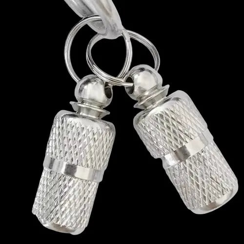 Dog Cat Name Tags Pet Collar ID Tag Keychain Anti-lost Nameplate Pendant Waterproof Capsule/Keyring Necklace Puppy Accessories