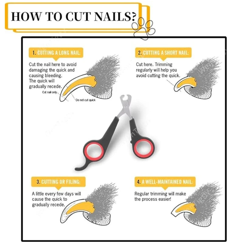 Pet Nail Clippers Cutter Parrot Nail Trimmer Beauty Scissors for Dogs Cats Sandrats and Small Animals Home Portable Pet Supplie