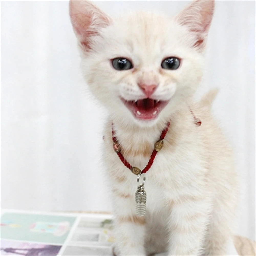 50pcs Pet Dog Cat ID Tag Barrel Tube Anti Lost Name Address Label Identity Tube Hanging Pendants