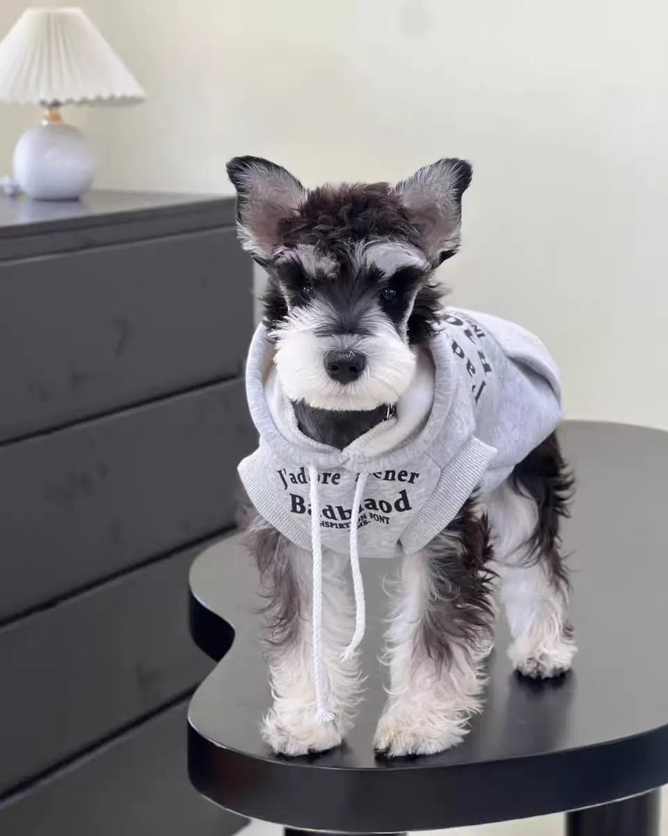 Autumn and winter fleece hooded sweatshirt puppy new winter warm clothes